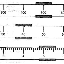 Reading a triple beam balance worksheet