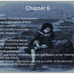 Chapter scarlet letter