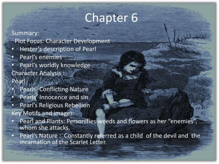 Chapter scarlet letter