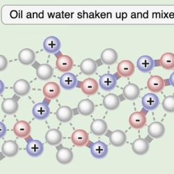 Intermolecular forces pogil answer key