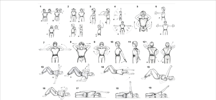 Movements flexion extension anatomical body human position anatomy joint angle